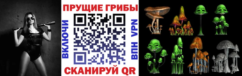 kraken ССЫЛКА  Апатиты  Псилоцибиновые грибы мицелий 